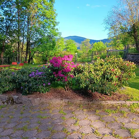 Lawendowy Dworek 卡尔帕奇